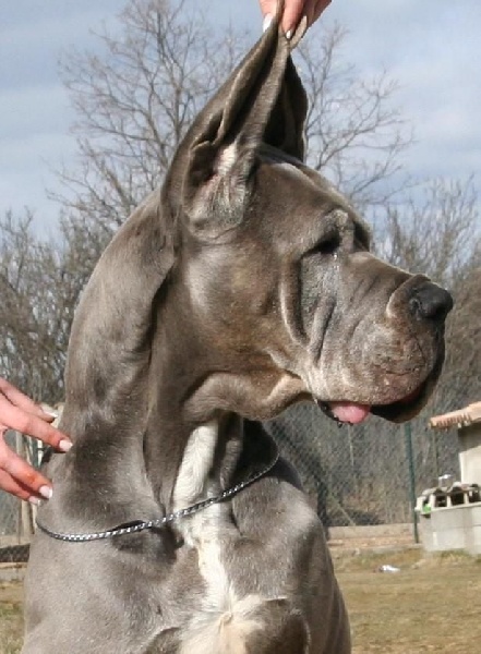 Publication : de l'Outsaïna Auteur : Esposito Floriane