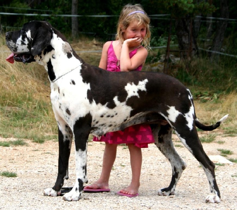 Publication : de l'Outsaïna Auteur : Esposito Floriane