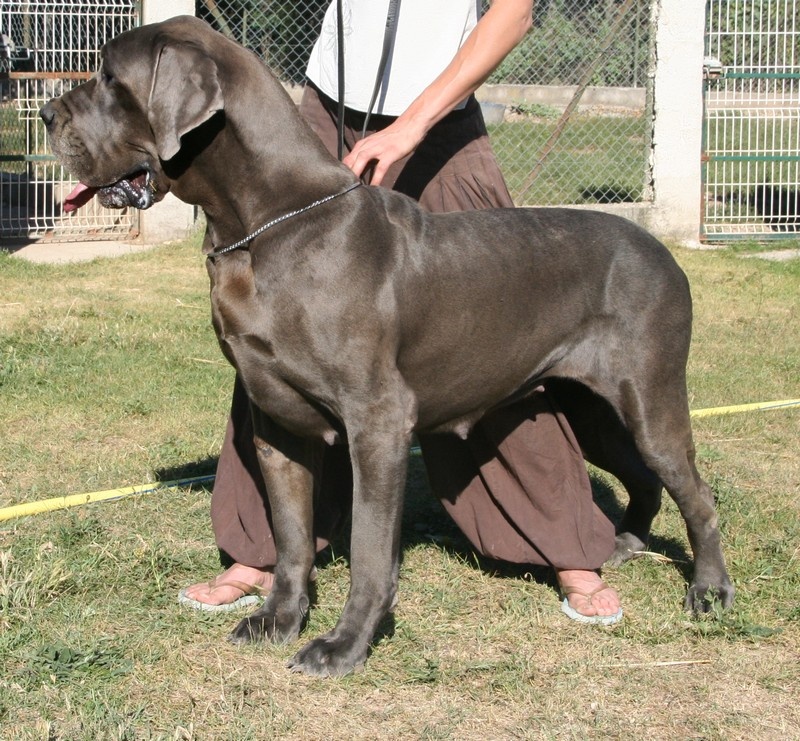 Ebaroudzïa de l'Outsaïna