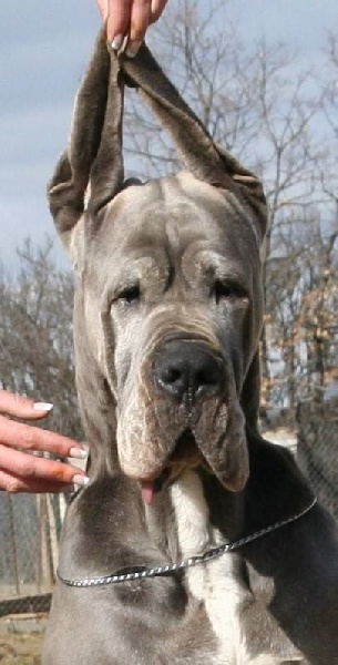 Publication : de l'Outsaïna Auteur : Esposito Floriane