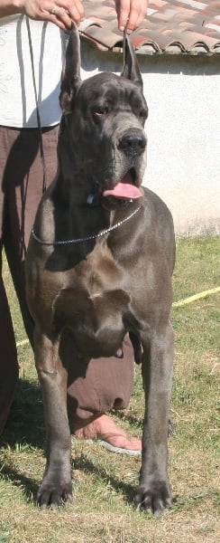 Ebaroudzïa de l'Outsaïna