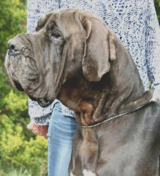 Publication : de l'Outsaïna Auteur : Esposito Floriane