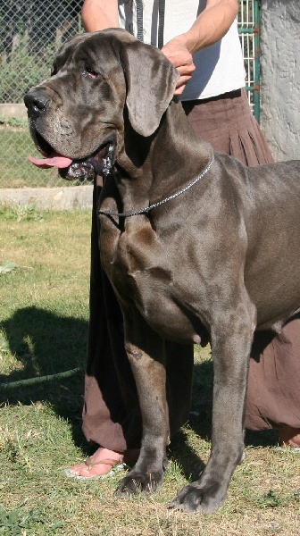 Ebaroudzïa de l'Outsaïna