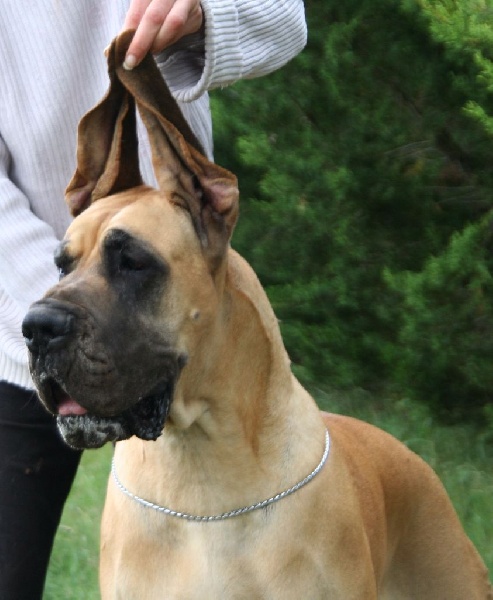 Publication : de l'Outsaïna Auteur : Esposito Floriane