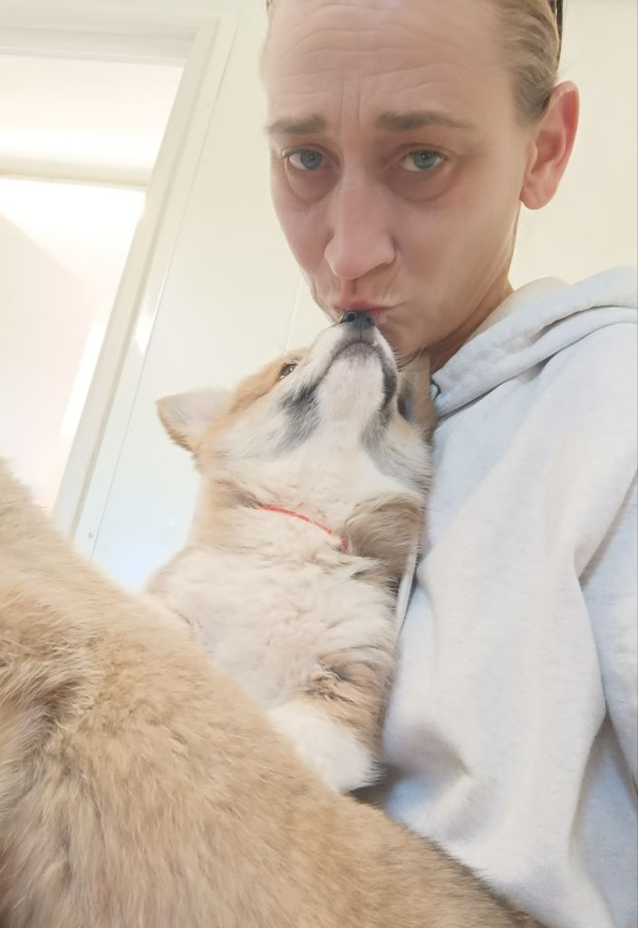 Femelle collier rouge