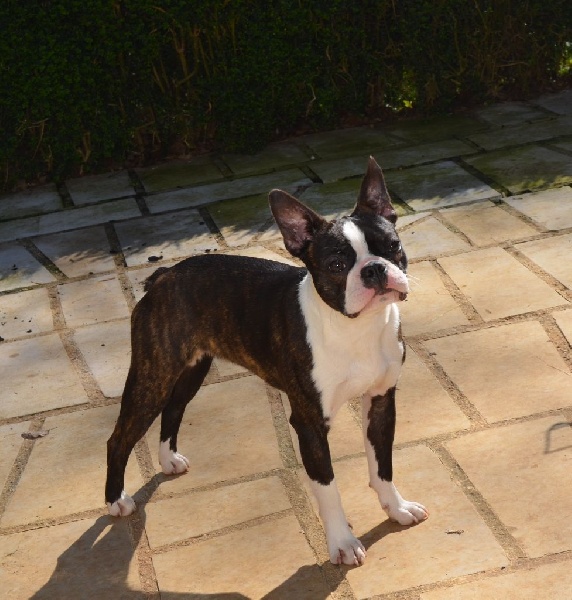 Publication : of Penny Park Auteur : dominique