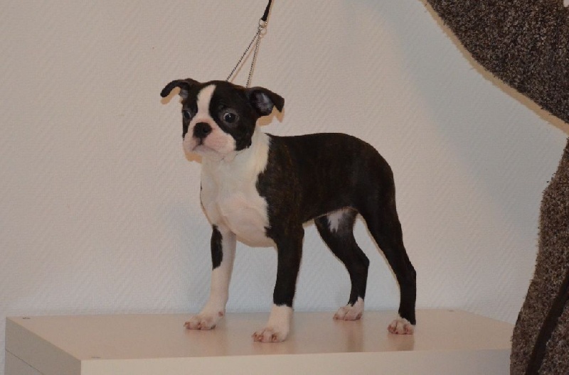 Publication : of Penny Park Auteur : dominique