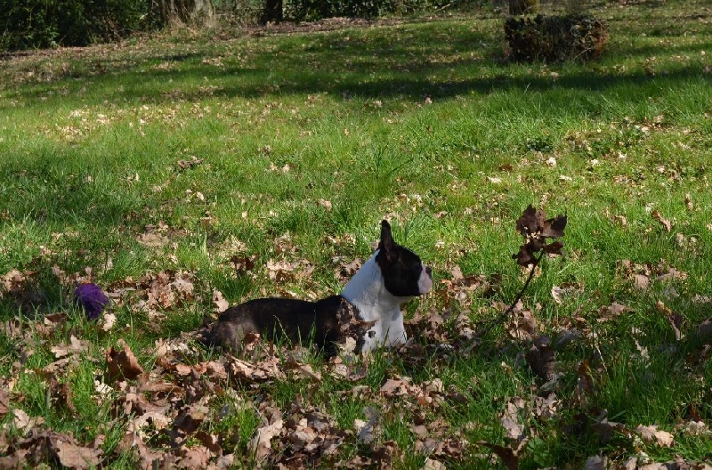 Publication : of Penny Park Auteur : dominique