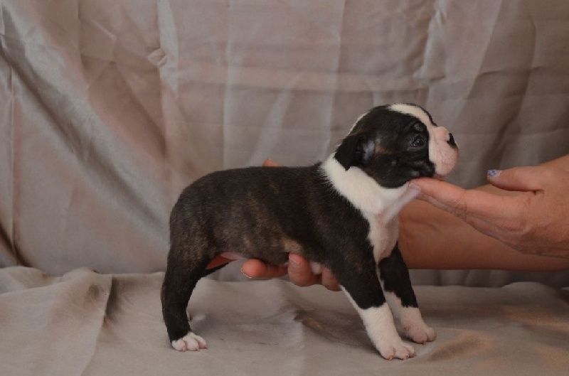 Publication : of Penny Park Auteur : dominique