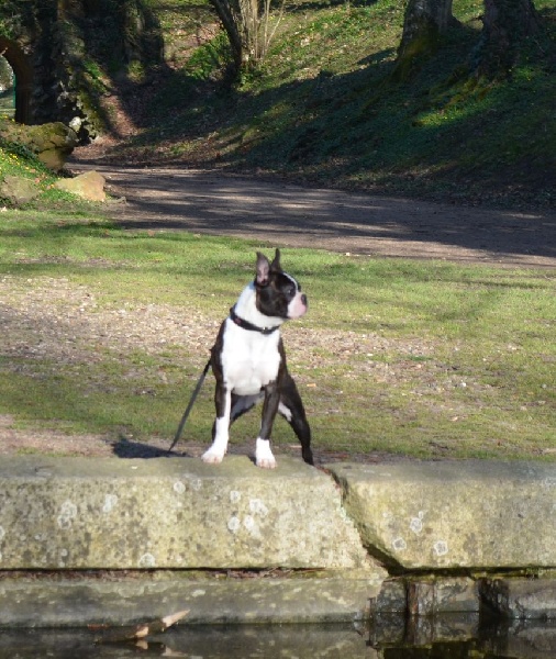 Publication : of Penny Park Auteur : dominique