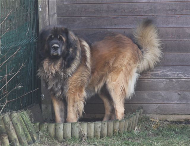 Publication : d'Horeor des forges de fer Auteur : Nadine THEVENOT