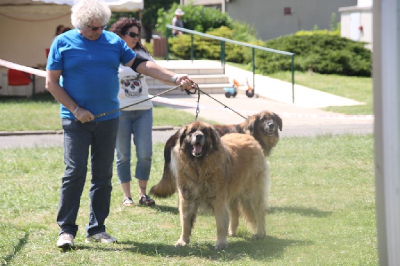 Vetchorka Du clos des grès - Exc (CVF) - pas de classement