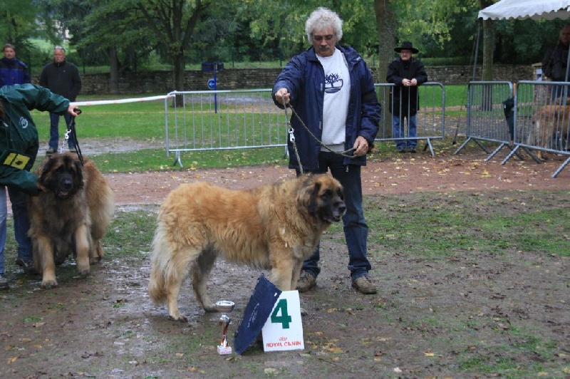Vetchorka Du clos des grès - 4ème EXC (CVF)