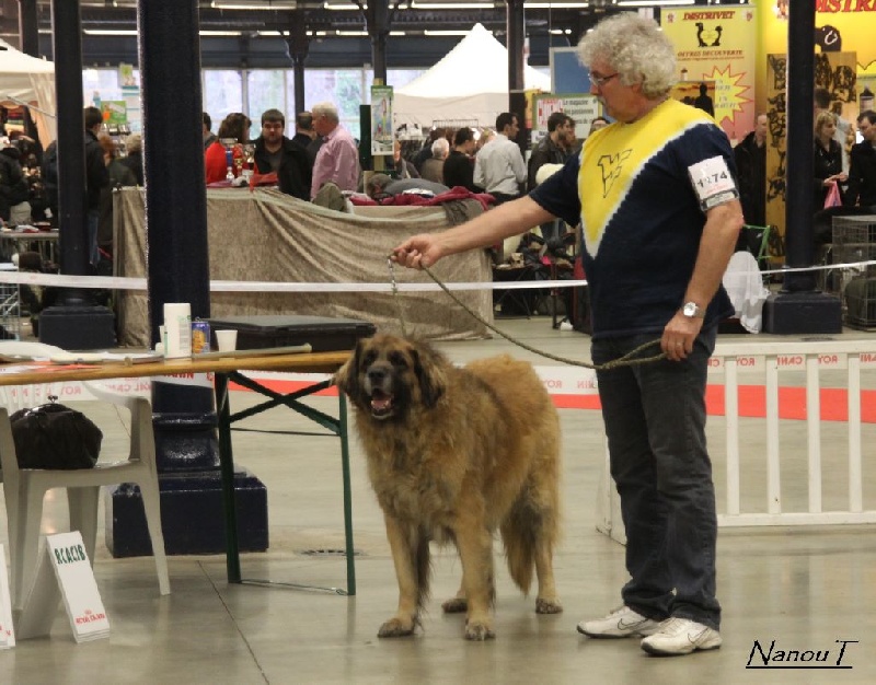 Vetchorka Du clos des grès - 1ère Exc (CVF) -Meilleur vétéran