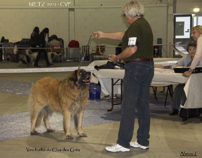 Vetchorka Du clos des grès - 1ère Exc - CVF