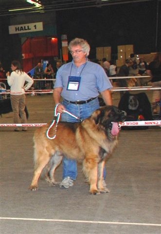 Boïan océane du clos des Tzars de Montagne - TB - Confirmé