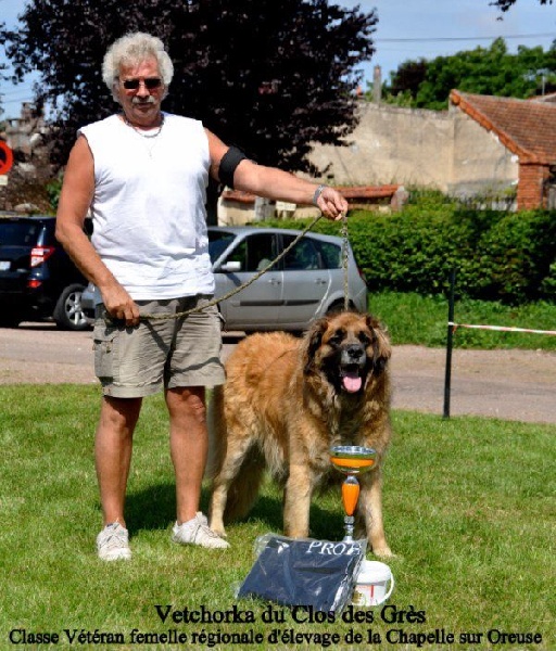Vetchorka Du clos des grès - 1ère Exc (CVF) - Meilleur vétéran