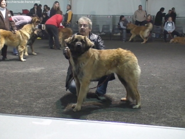 Vetchorka Du clos des grès - 4ème Excellent