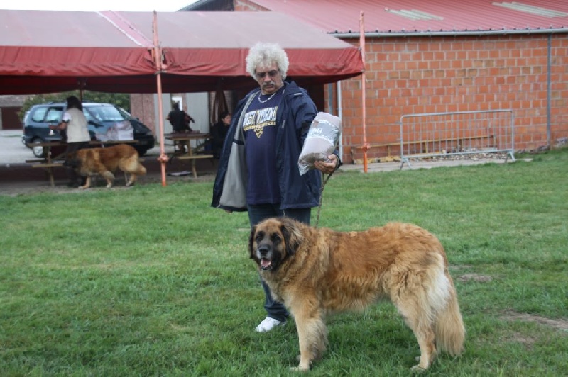 Vetchorka Du clos des grès - 2ème Exc (CVF)