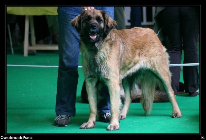 Vetchorka Du clos des grès - Exc