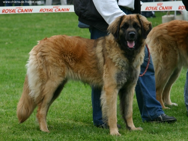 Vetchorka Du clos des grès - 3ème Excellent