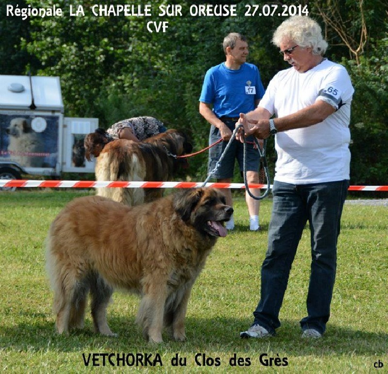 Vetchorka Du clos des grès - 1ère Exc (CVbleF)