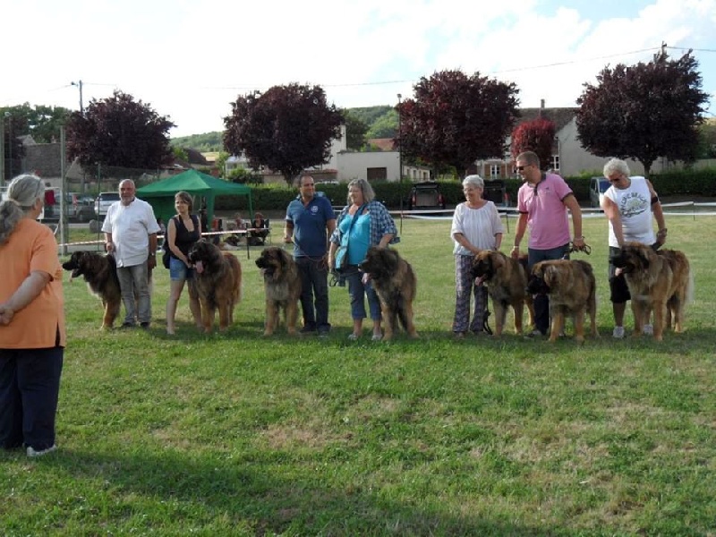 Boïan océane du clos des Tzars de Montagne - Exc (Lot Reproducteur)