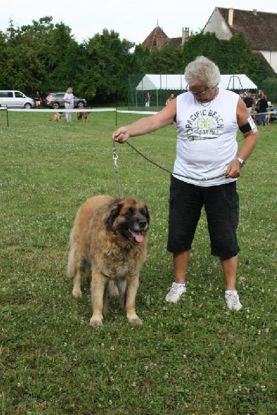 Vetchorka Du clos des grès - 1ère Exc (CVF)