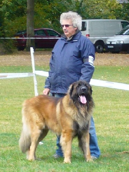 Boïan océane du clos des Tzars de Montagne - TB