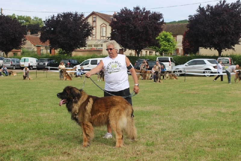 Boïan océane du clos des Tzars de Montagne - TB (COM)