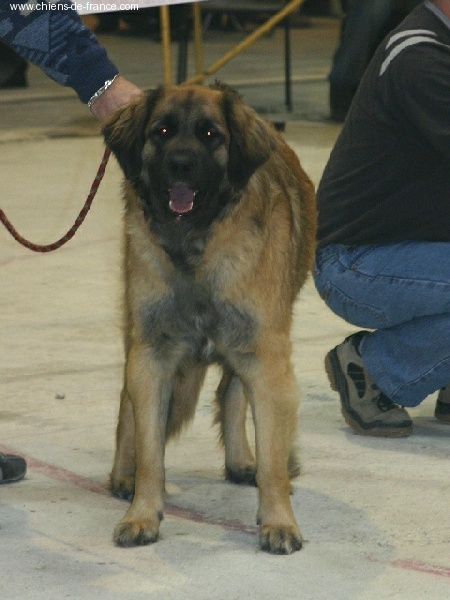 Vetchorka Du clos des grès - 2ème Excellent