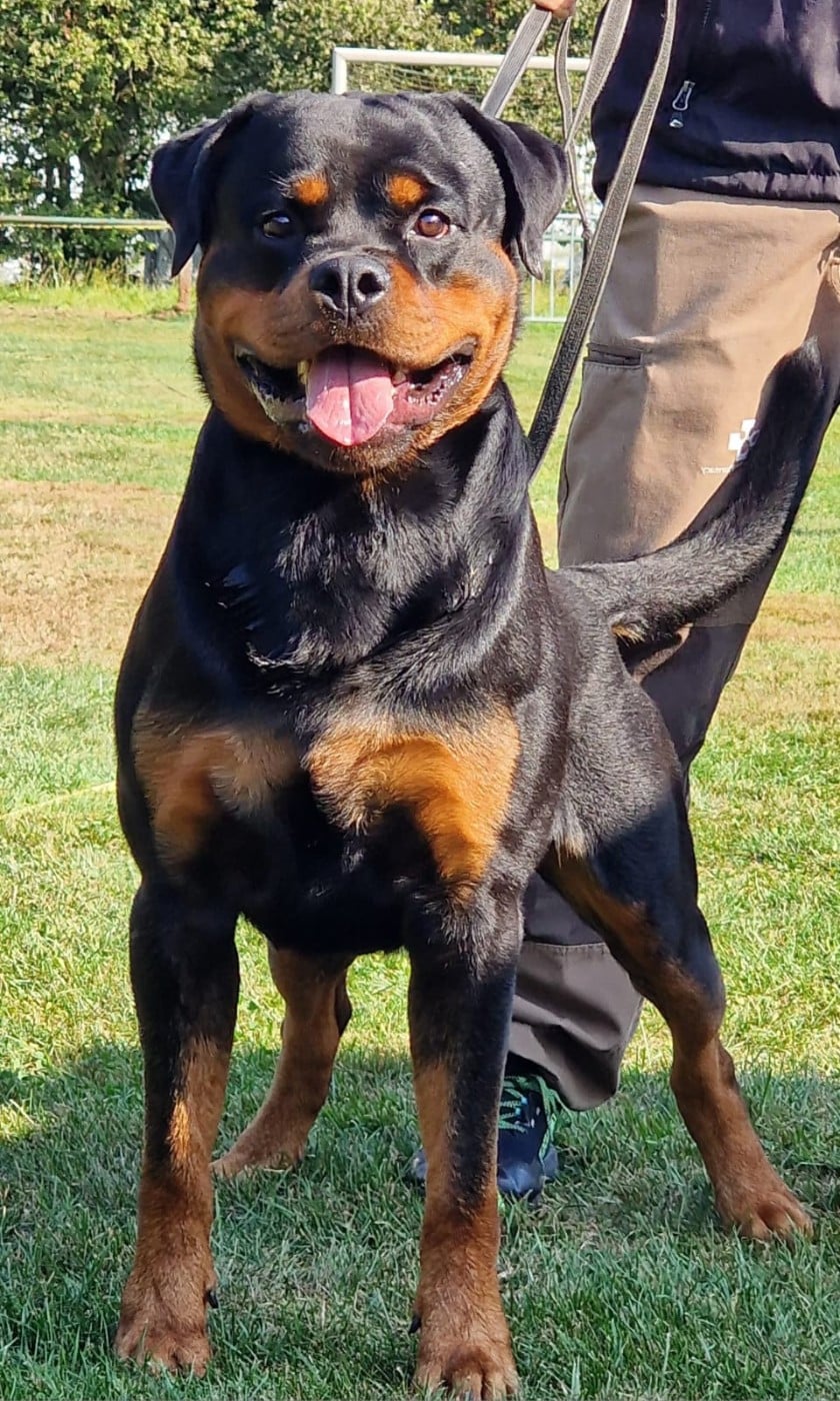 Publication : du Clos Lenka