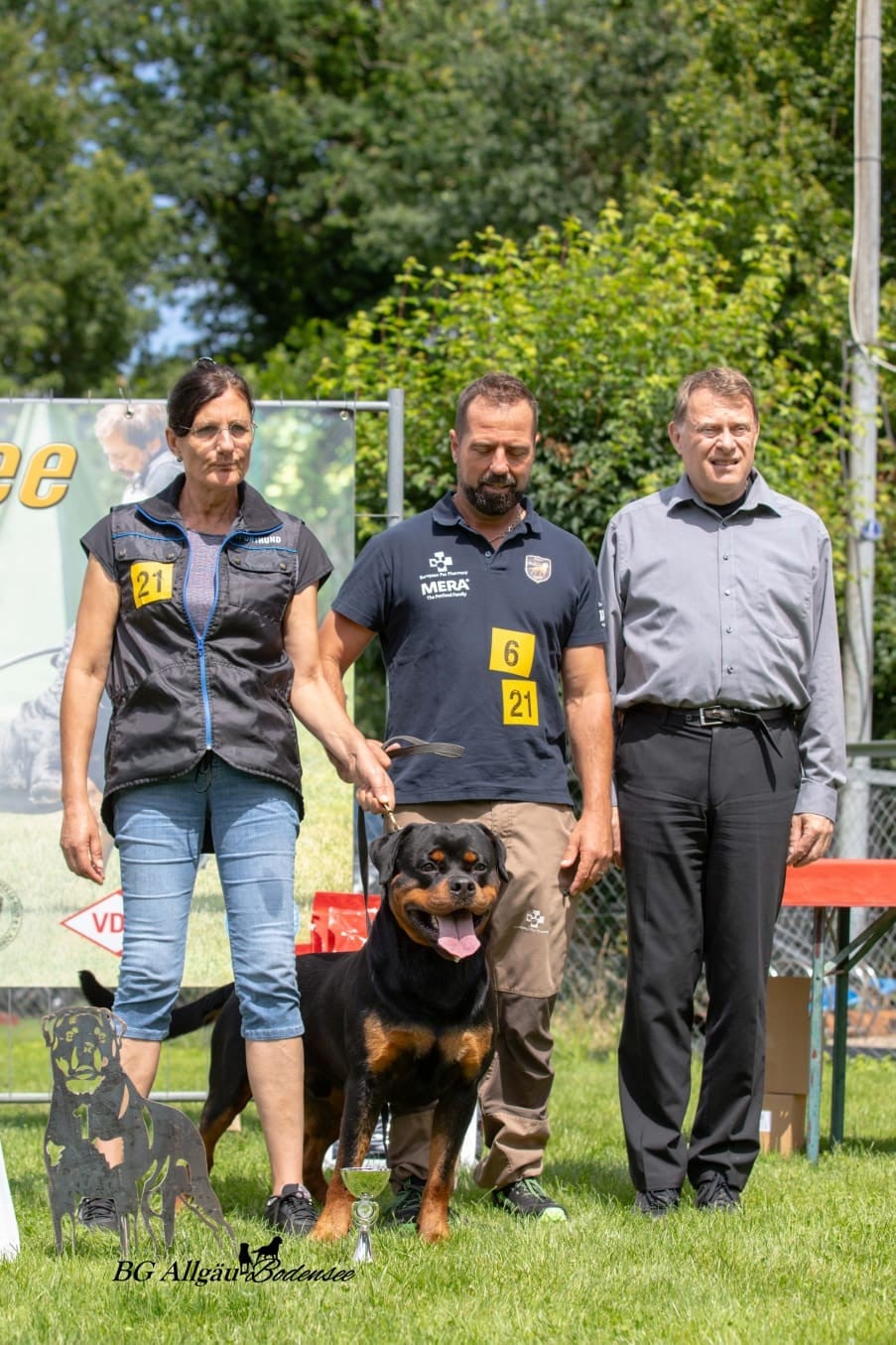 Publication : du Clos Lenka