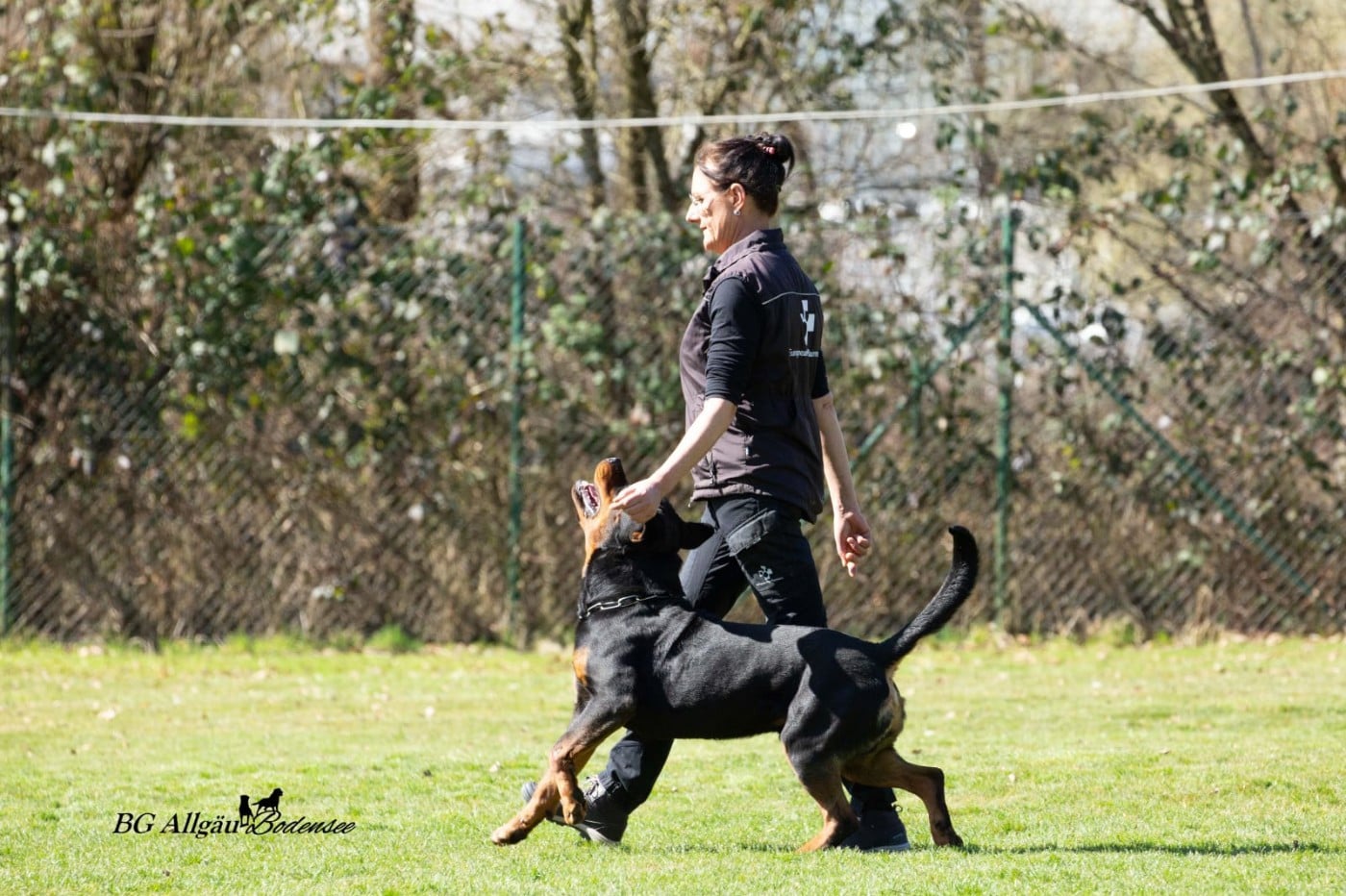 Publication : du Clos Lenka