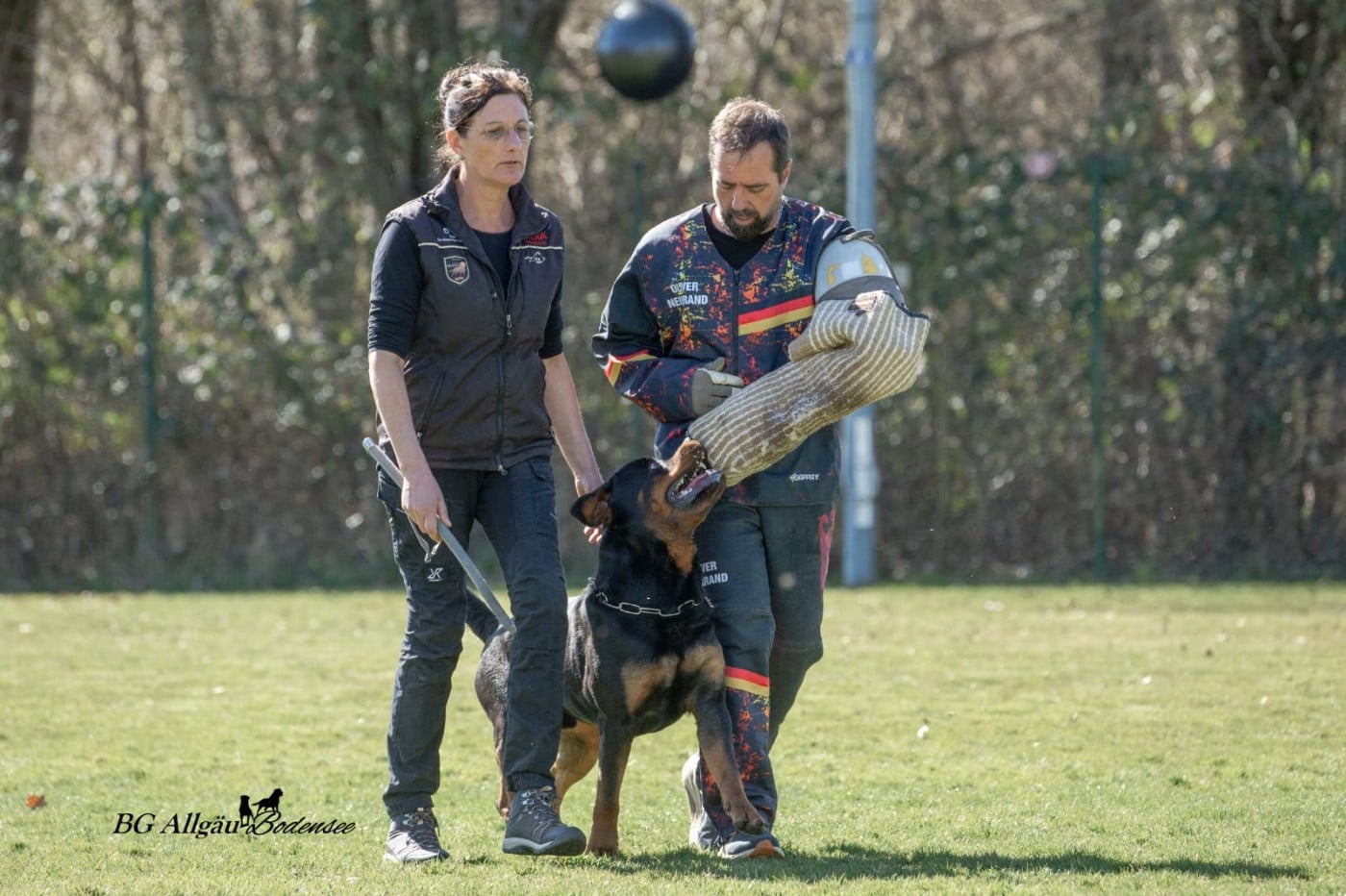 Publication : du Clos Lenka