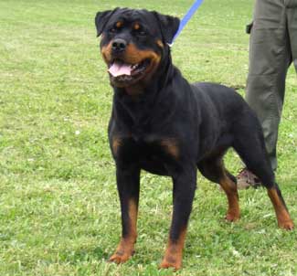 Publication : du Clos Lenka