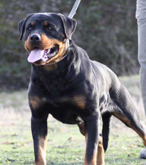 Publication : du Clos Lenka