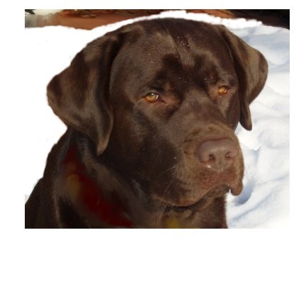 Publication : du Castel du Tremblay