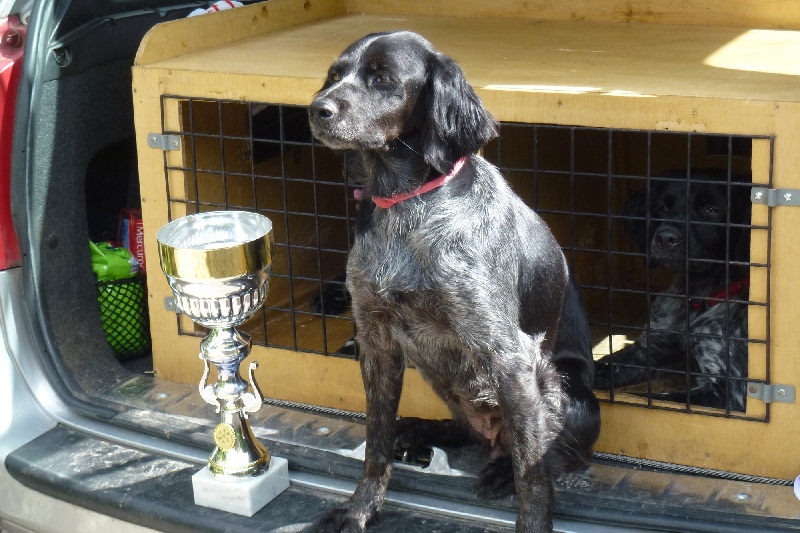 TR. CH. Vodka de Gavatot - REEP réussi