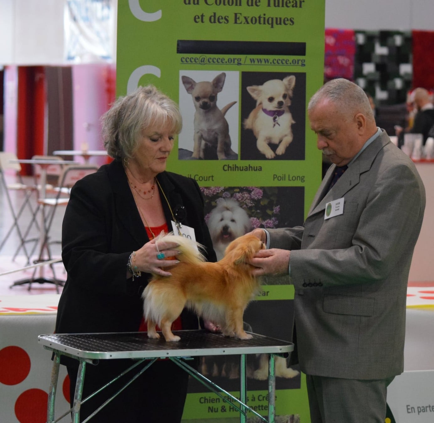 CH. Ultra chic du Paradis des P'tits Cracks