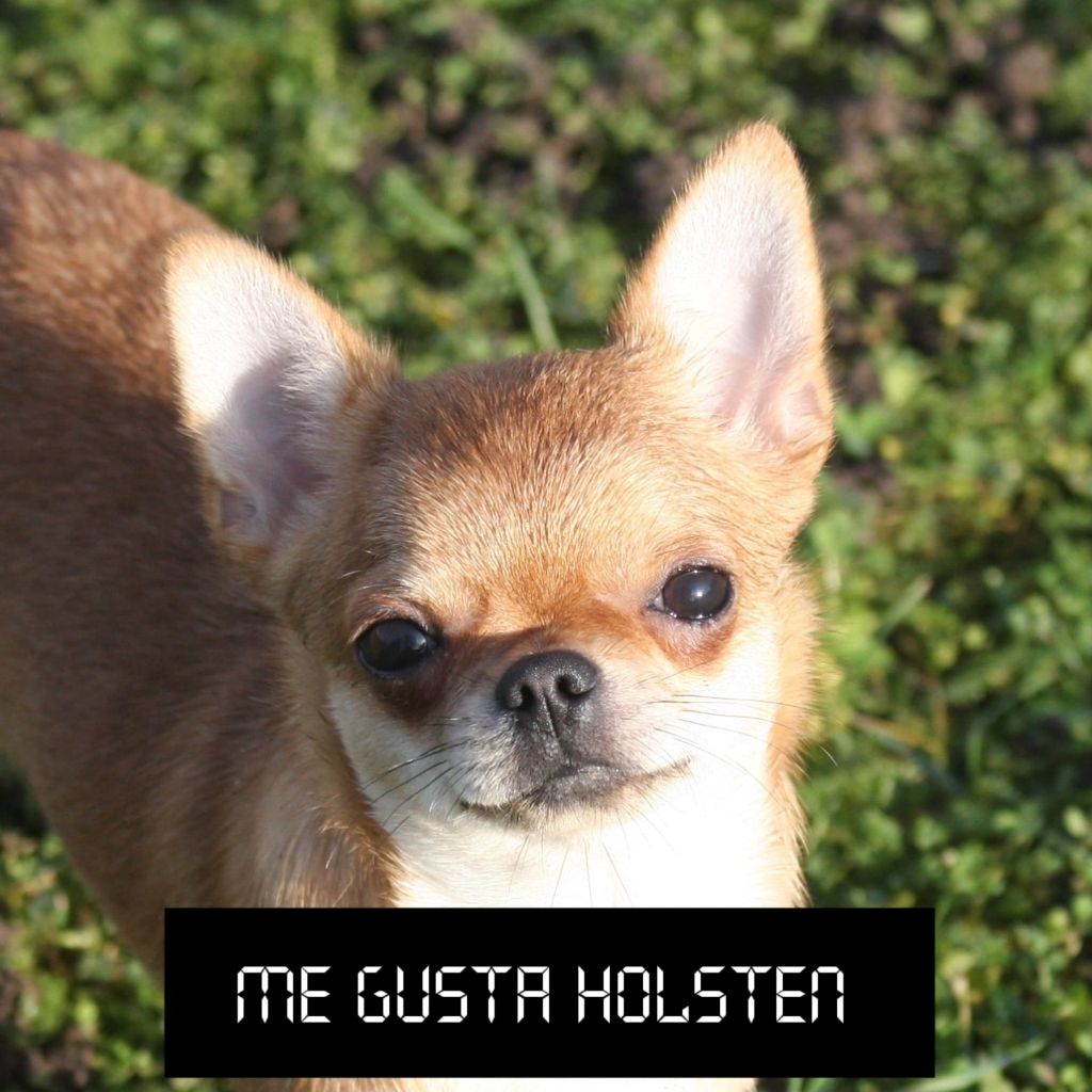 Me Gusta Holsten