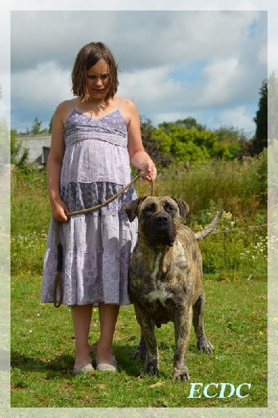 Fuente des Terres d'Europe