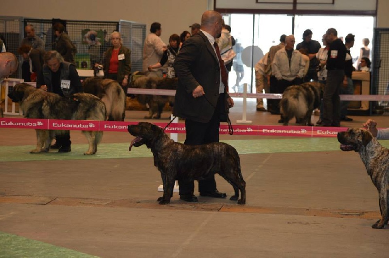 Esperanza El Corazon Del Cazador
