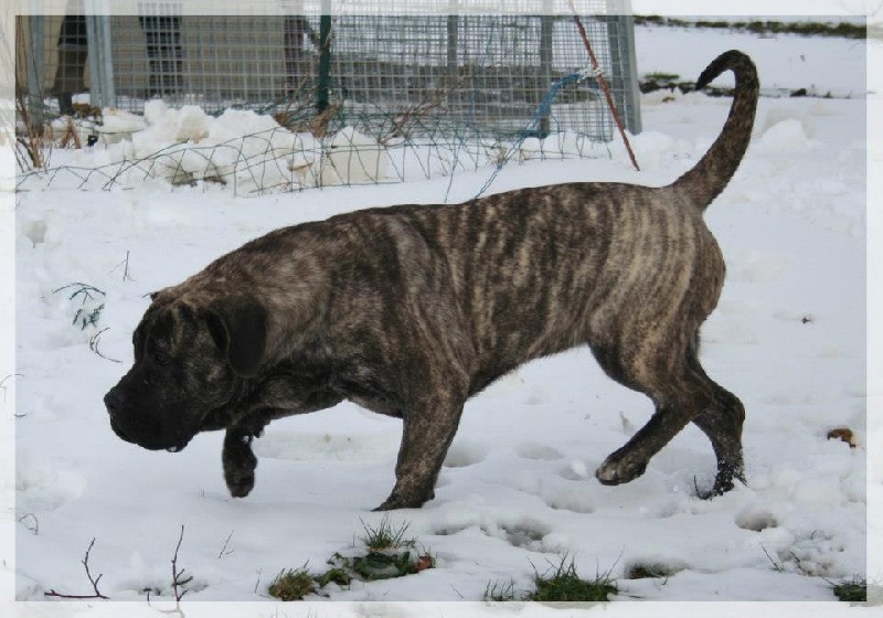 Publication : El Corazon Del Cazador