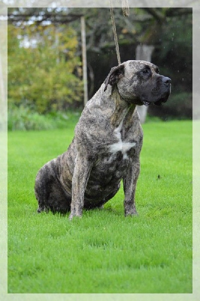 Fuente des Terres d'Europe