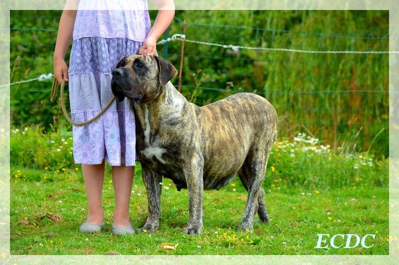 Fuente des Terres d'Europe