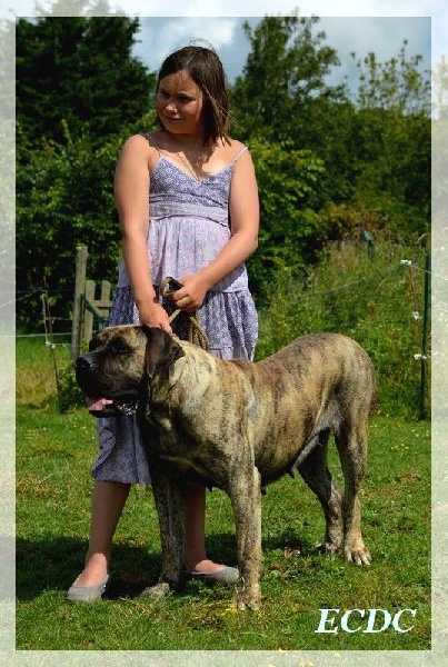 Publication : El Corazon Del Cazador Auteur : corazon del cazador