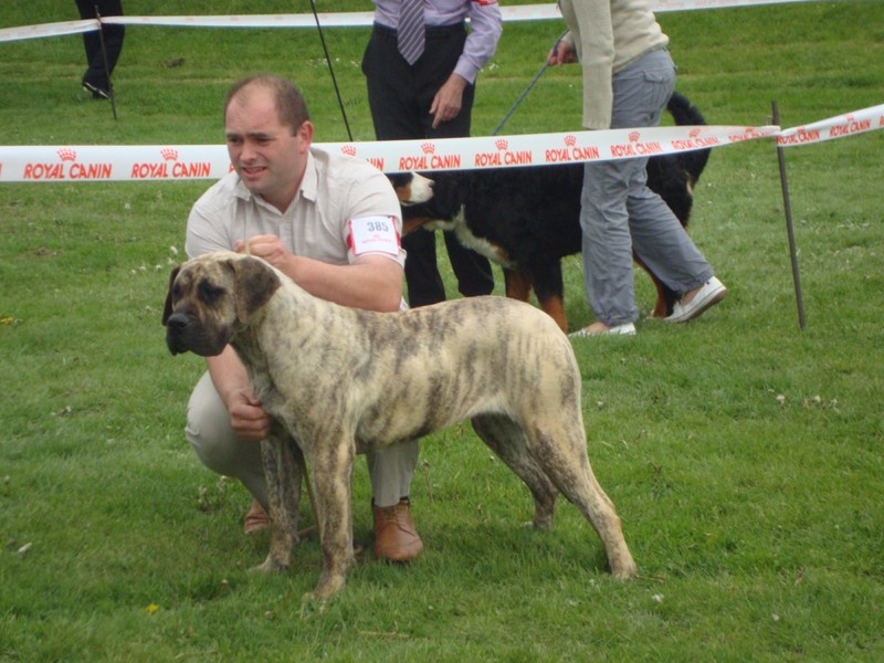 Publication : El Corazon Del Cazador Auteur : corazon del cazador