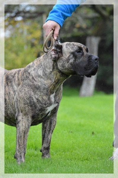 Fuente des Terres d'Europe