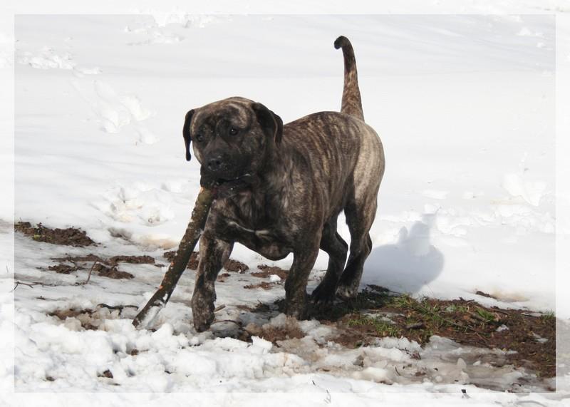 Publication : El Corazon Del Cazador